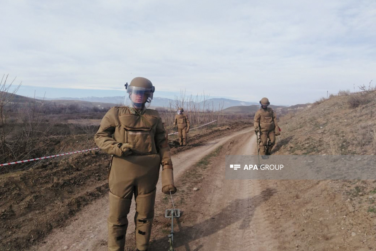 Azad edilmiş ərazilərdə daha 337 mina aşkarlanıb