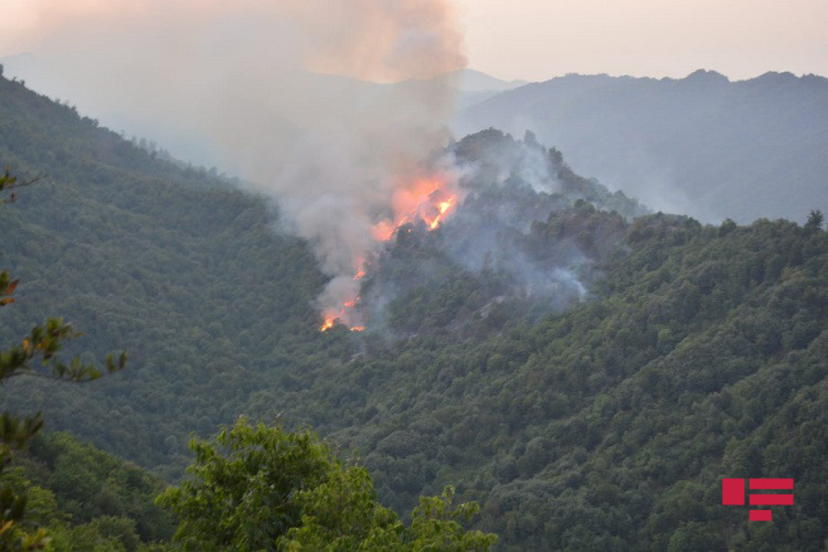 В Агсуинском районе вспыхнул пожар в горной местности