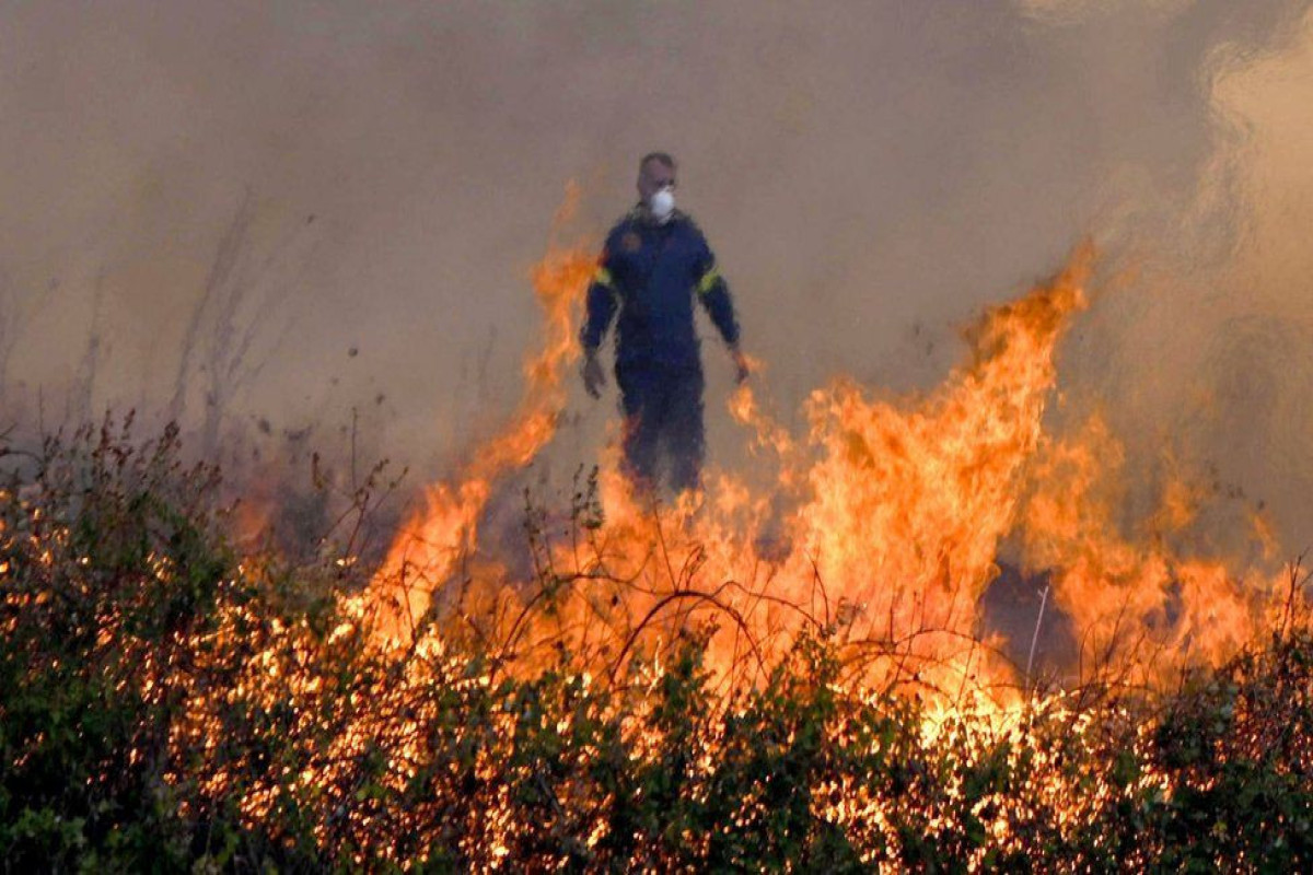 В Греции за сутки возникли 93 очага лесных пожаров