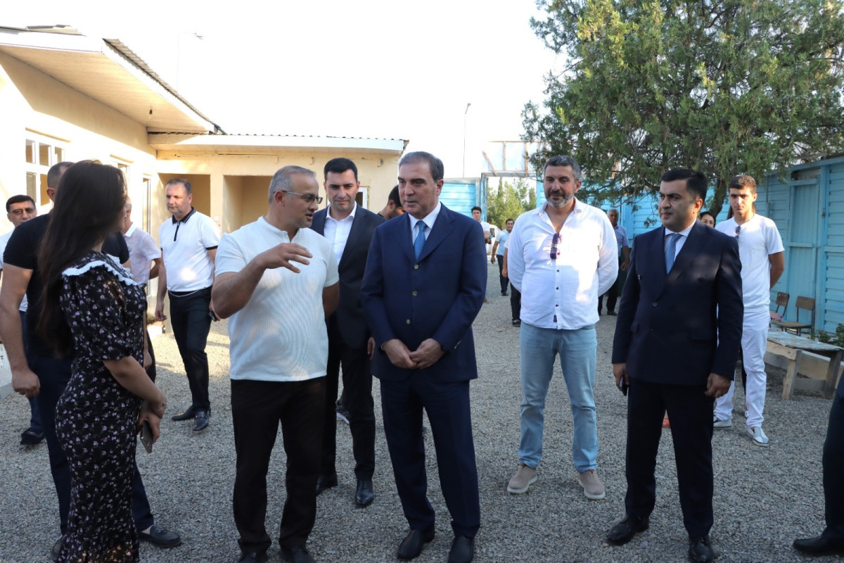 Gəncədə sahibsiz heyvanlar üçün sığınacaq açılıb - FOTO 
