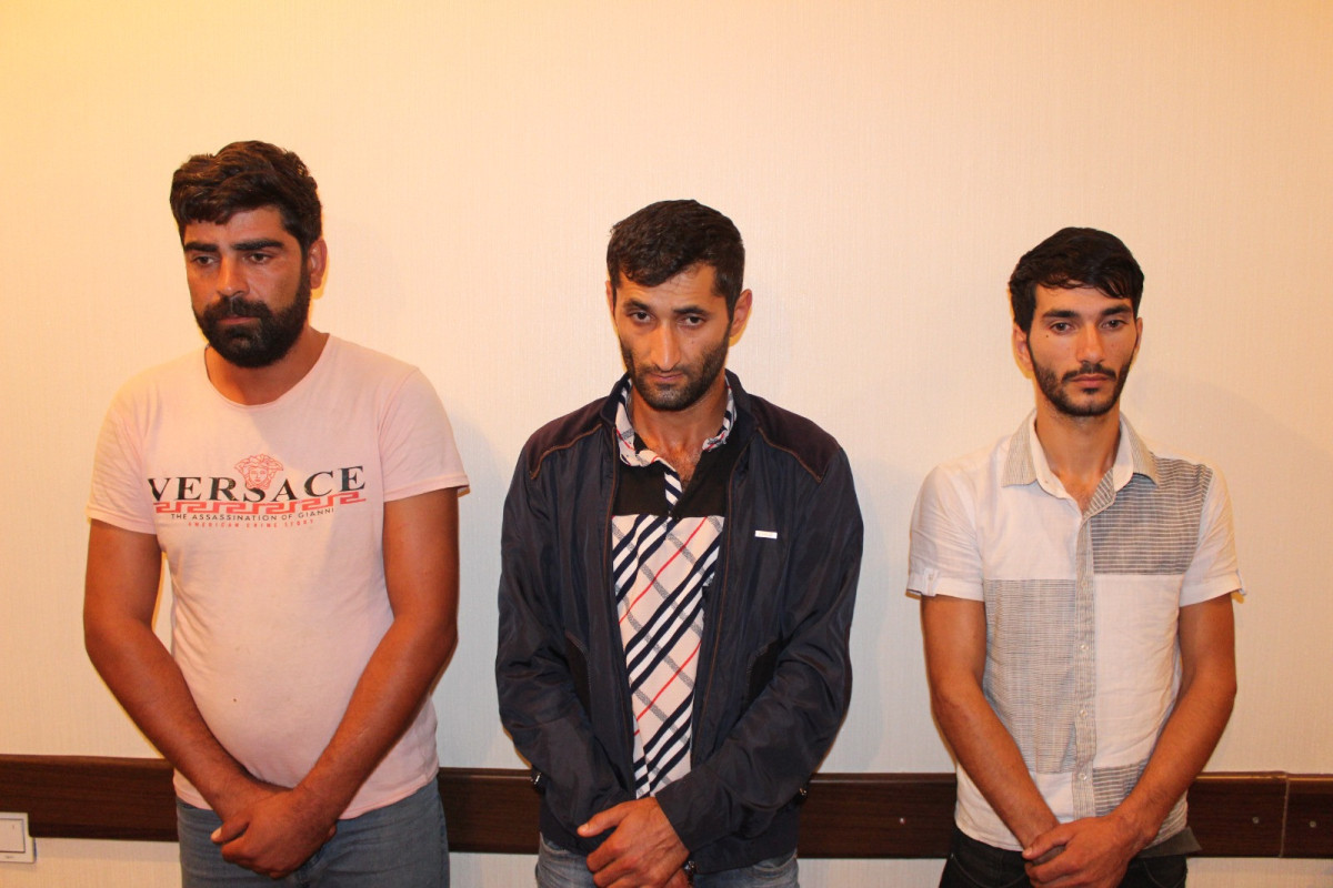 Oğuzda evlərdən fındıq oğurlanıb, 3 nəfər tutulub