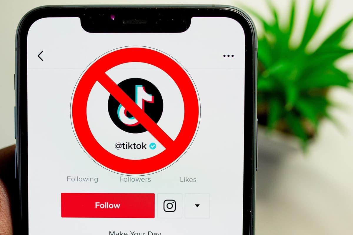 В Кыргызстане заблокируют TikTok