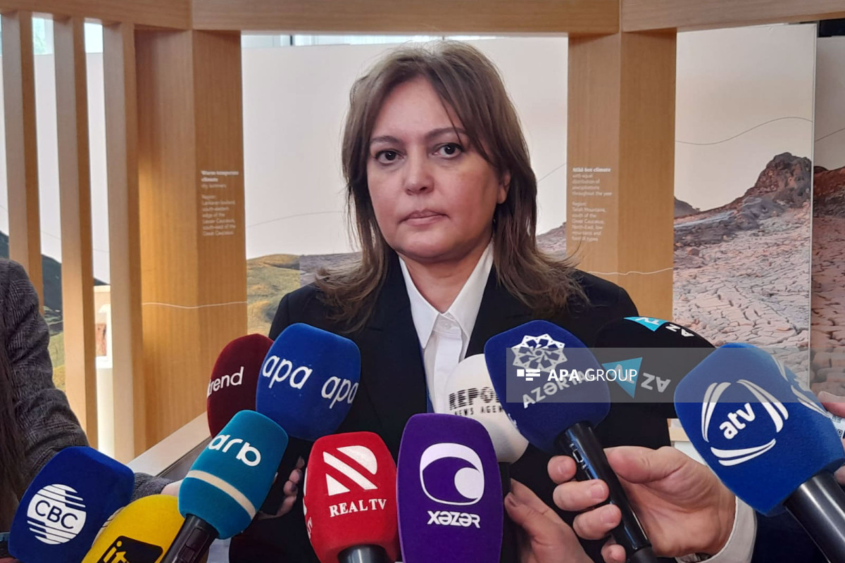 Умайра Тагиева: Азербайджан является лидером региона по озеленению