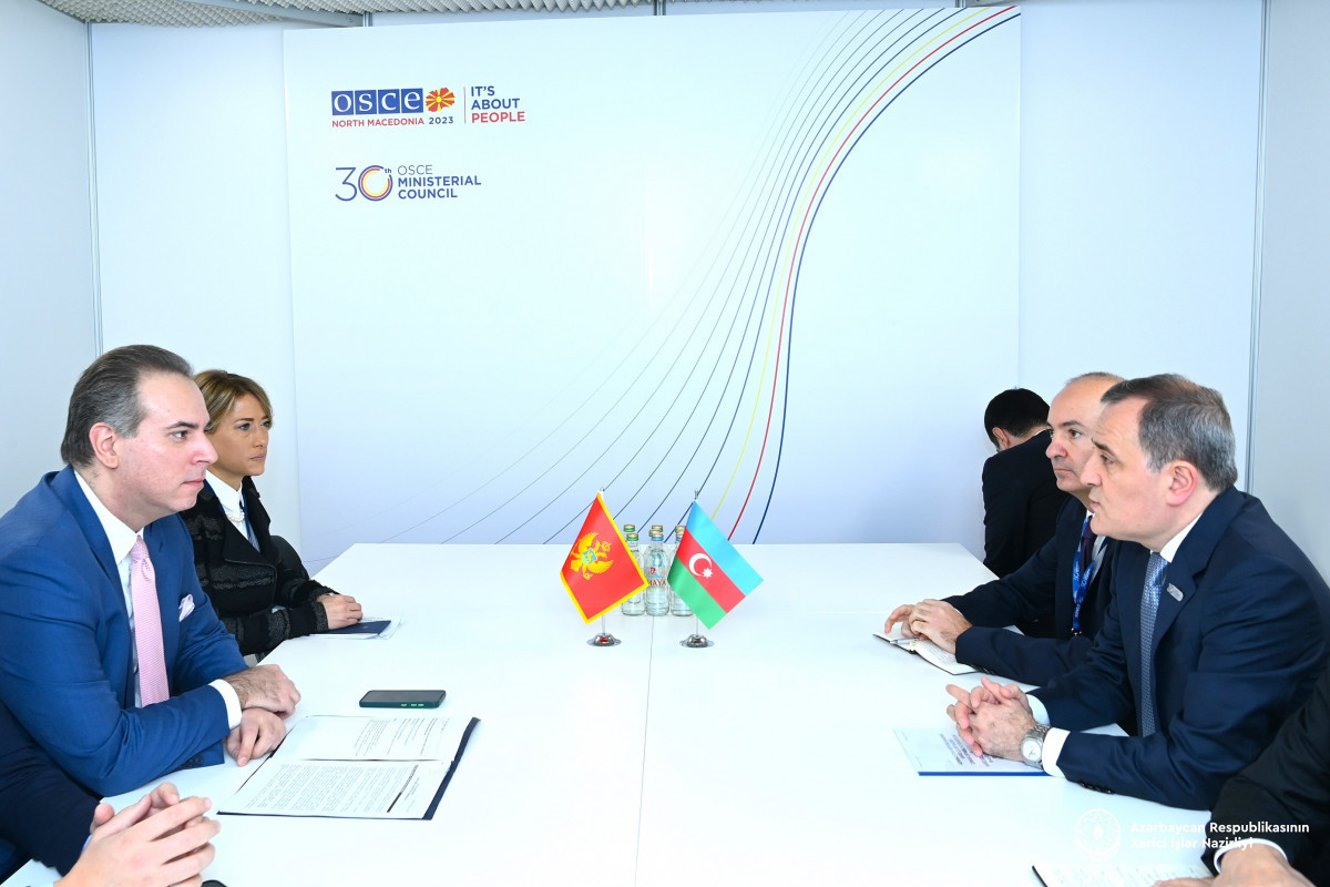 Глава МИД Азербайджана встретился с министром иностранных дел Монтенегро