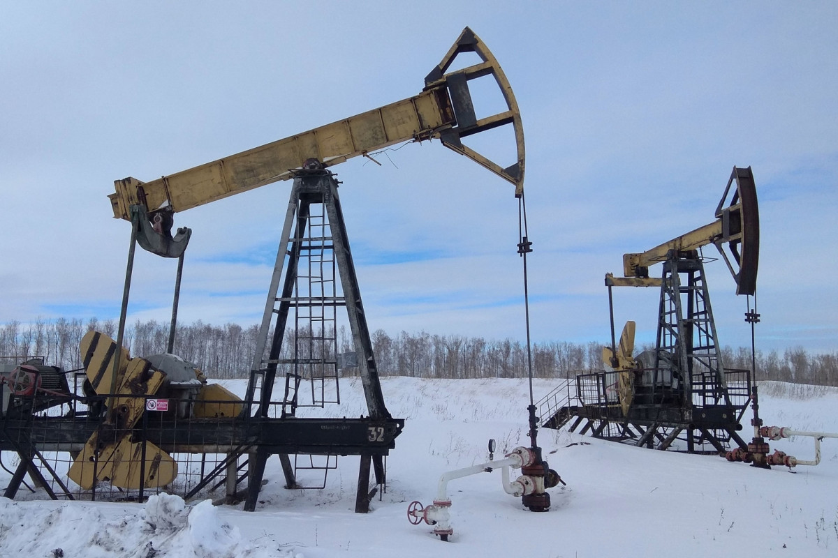 “Urals” neftinin qiyməti bu il 20%-dək azalıb