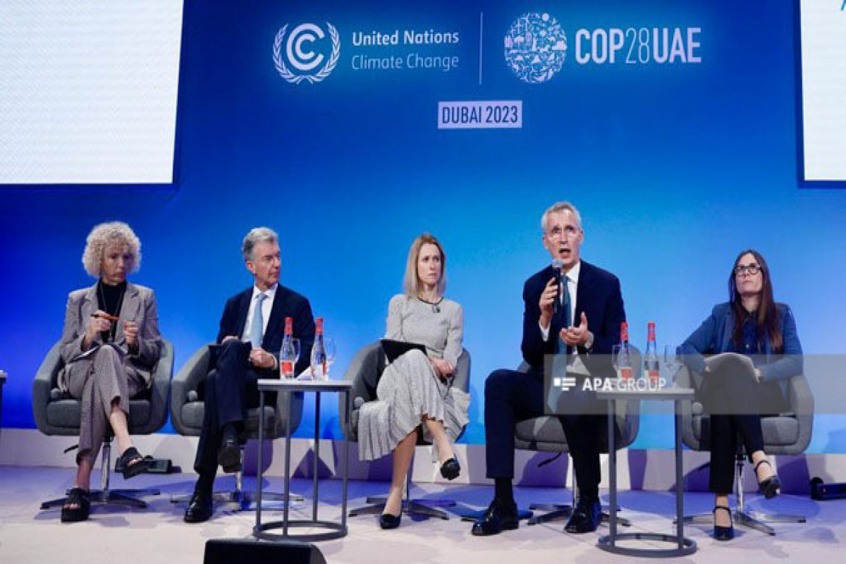 Столтенберг: У НАТО есть обязательство бороться с изменением климата