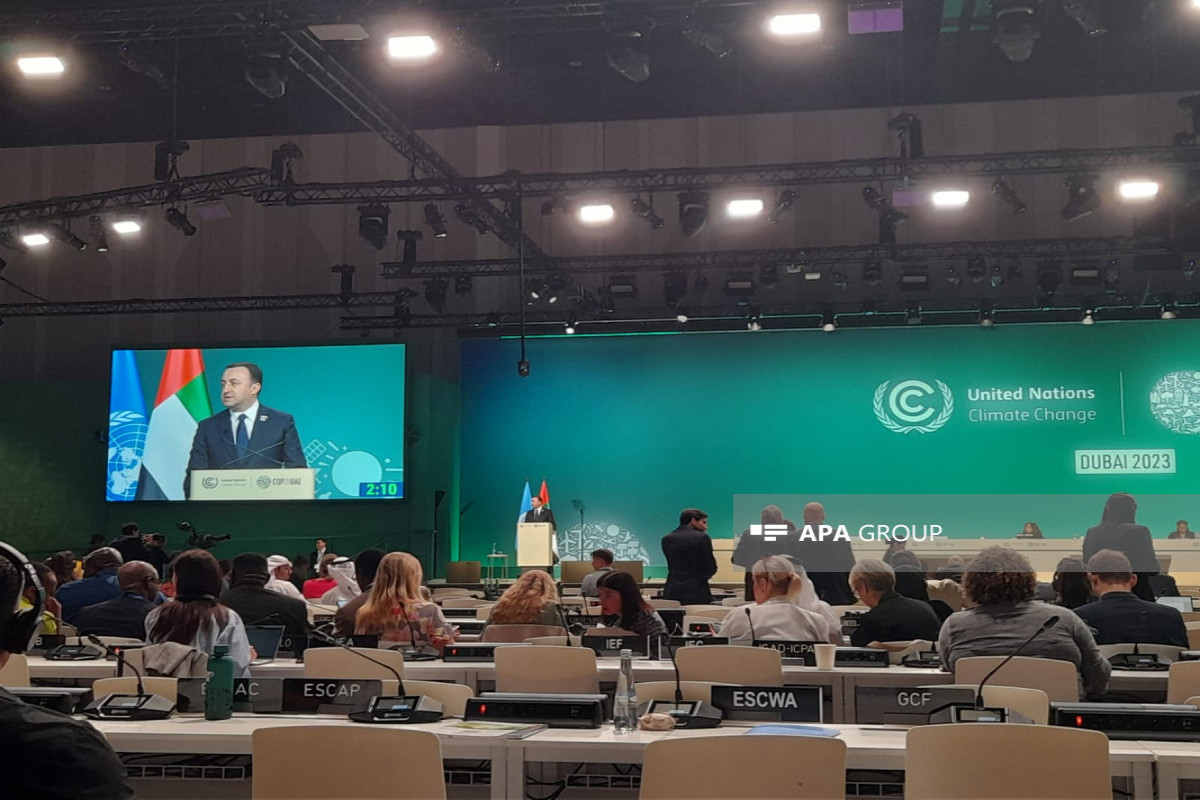 Гарибашвили: Грузия присоединяется к обязательству по энергоэффективности COP28
