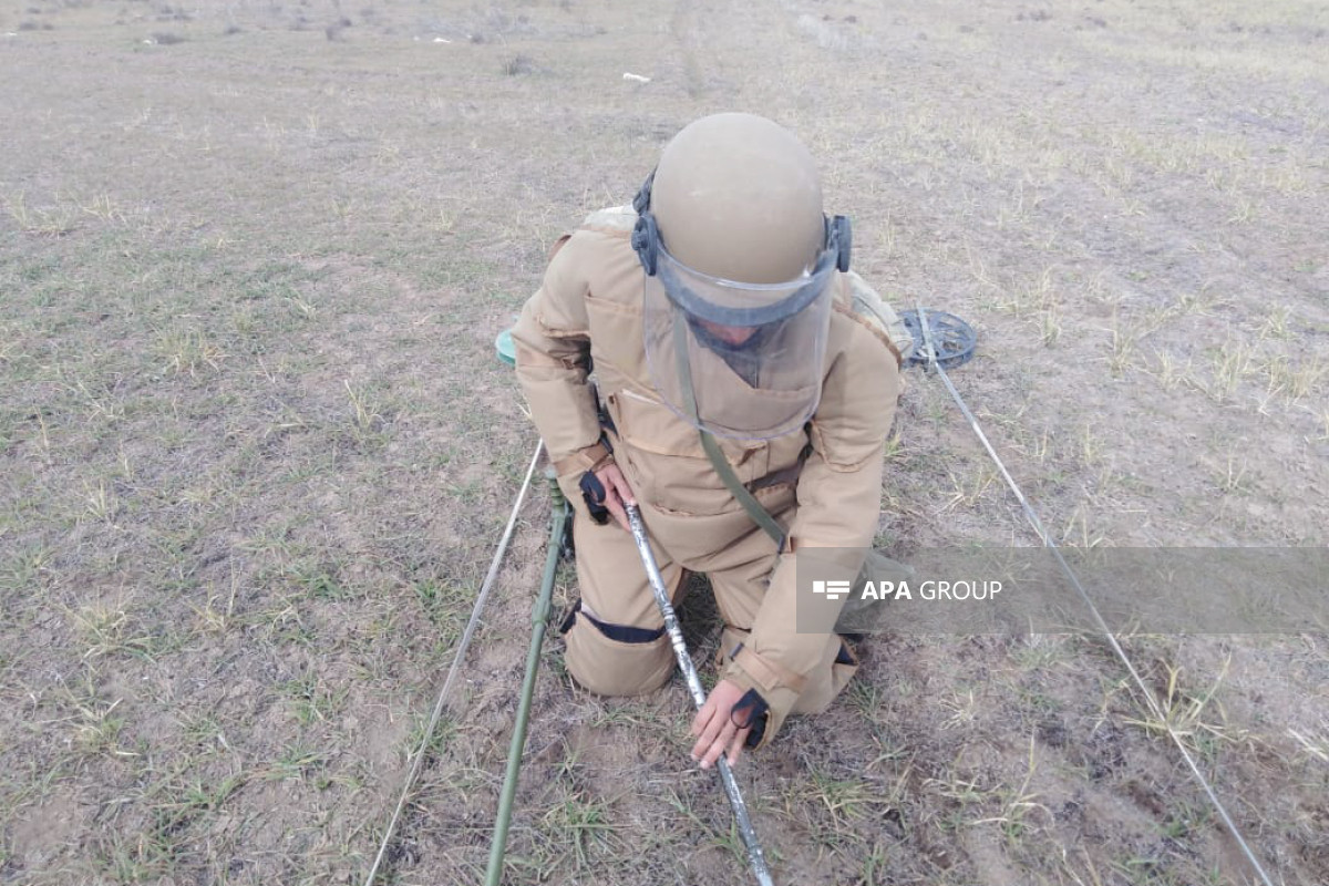 На освобожденных территориях Азербайджана обнаружены еще 61 мина и 579 НРБ