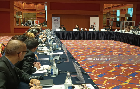 ANAMA: Antiterror əməliyyatlarına qədər 148 min hektar ərazi ağır çirkləndirilmiş hesab edilirdi