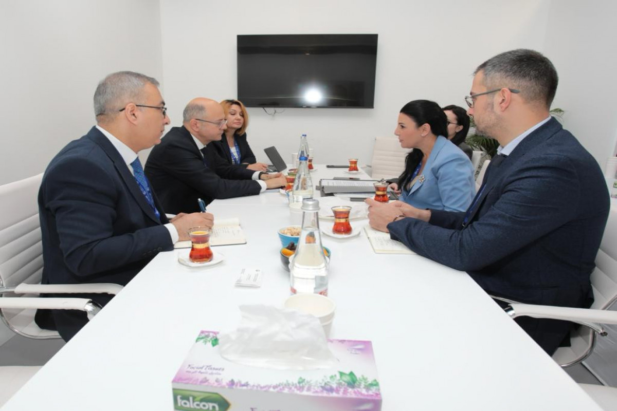 Azərbaycan Albaniyanın Korça şəhərinin qazlaşdırılmasında iştirak edə bilər