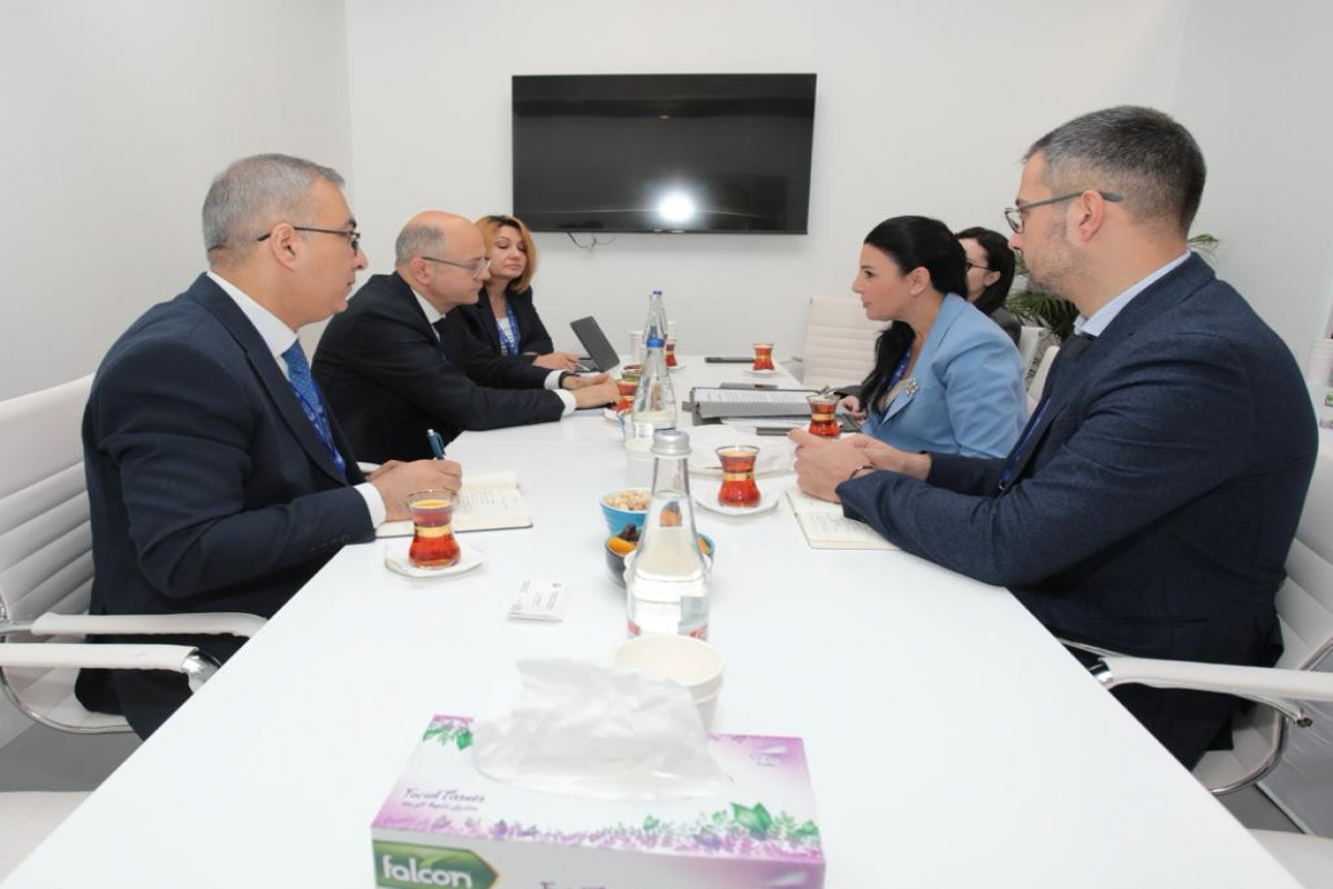 Азербайджан может принять участие в газификации албанского города Корча