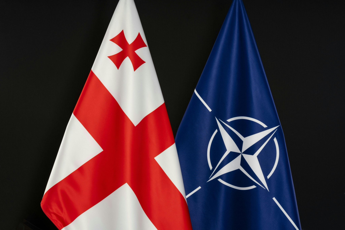 NATO Baş katibinin müavini Gürcüstanın spikeri ilə görüşəcək