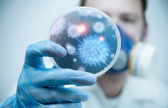 Azərbaycanda qızılca ilə yanaşı, digər virus infeksiyalarına yoluxma hallarına rast gəlinir