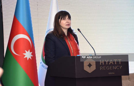 BMT məişət zorakılığı ilə bağlı Azərbaycana dəstək verməyə hazırdır