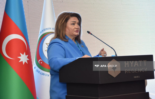 Hicran Hüseynova:  Zorakılıq dedikdə təkcə fiziki yox, psixoloji zorakılıq da nəzərə alınmalıdır