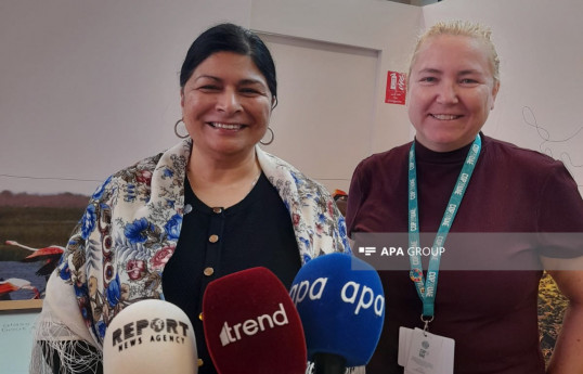UNFCCC: COP29-da baş katibliyimiz Azərbaycan hökuməti və xalqı ilə işləməyi səbirsizliklə gözləyir