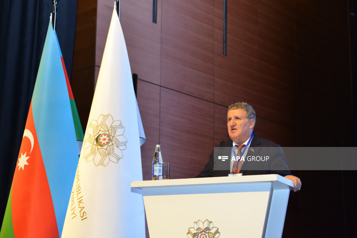 İsa Həbibbəyli tarix dərsliklərini tənqid edib