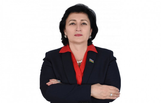 Məlahət İbrahimqızı: Boşanmaların sayının artmasının səbəbləri araşdırılmalıdır