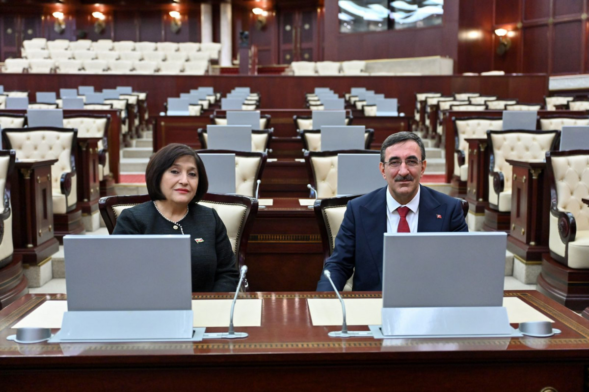 Milli Məclisin sədri Türkiyənin Vitse-prezidenti ilə görüşüb