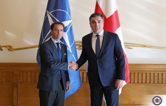 NATO Baş katibinin xüsusi nümayəndəsi Tbilisidə Darçiaşvili ilə görüşüb