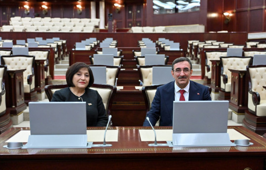 Milli Məclisin sədri Türkiyənin Vitse-prezidenti ilə görüşüb