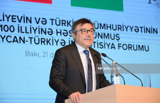 Göksel Aşan: Türk dünyasının həmrəy olmaqdan başqa şansı yoxdur