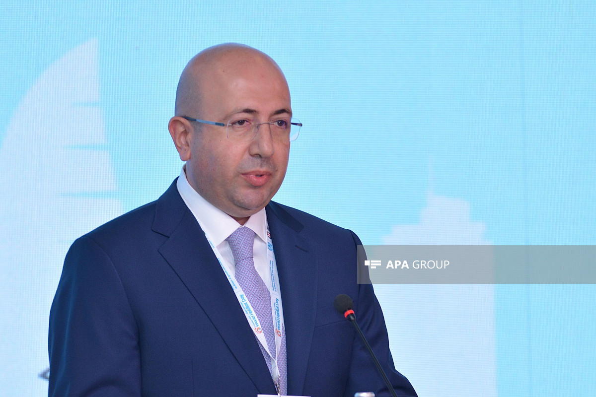 Komitə sədri: Azərbaycan post-konflikt mövzusunda böyük təcrübə əldə edib