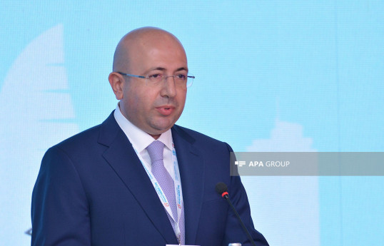 Komitə sədri: Azərbaycan post-konflikt mövzusunda böyük təcrübə əldə edib