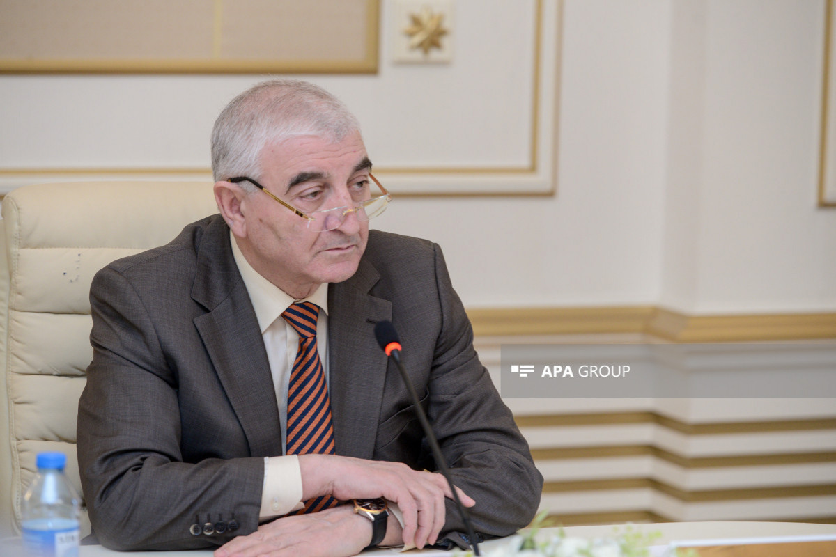 Məzahir Pənahov: Şəxsiyyət vəsiqələrinin etibarlılığı ilə bağlı düzgün izahat vermək lazımdır