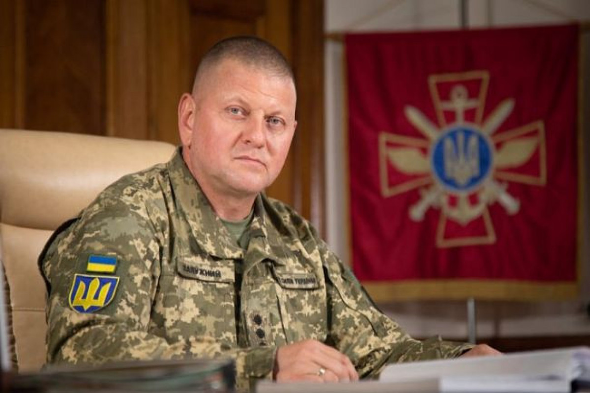 Zalujnı Rusiya ilə müharibədə  əsas səhvini etiraf edib