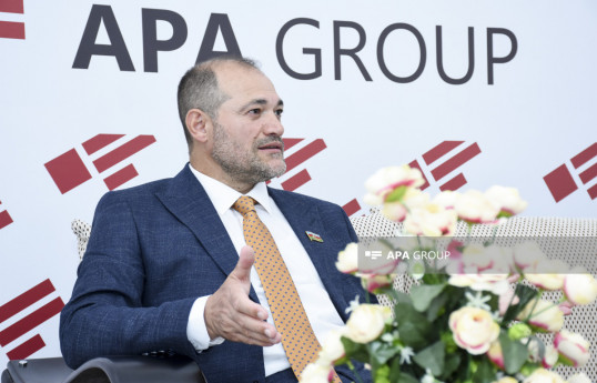 Deputat: Bəzi yerlərdə yüzlərlə ağac əkilib, amma yanıb kül olub