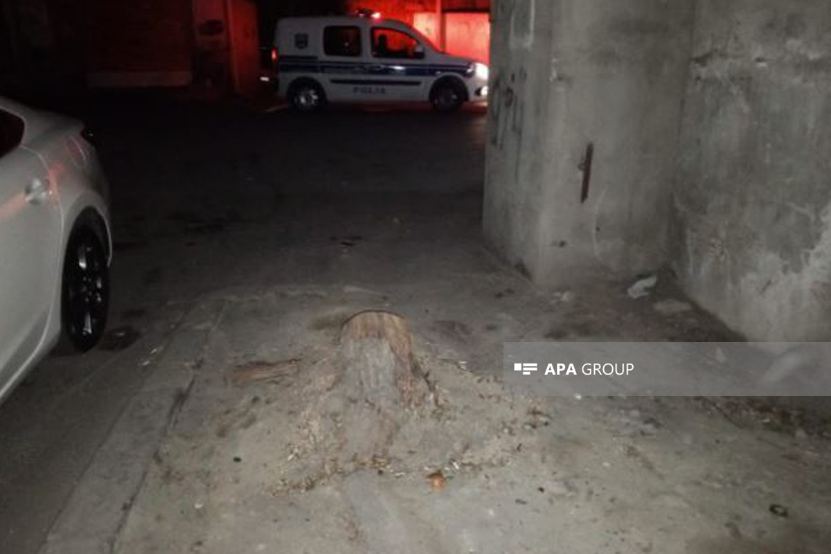 Bakıda gənc oğlan qətlə yetirilib - FOTO  - YENİLƏNİB 
