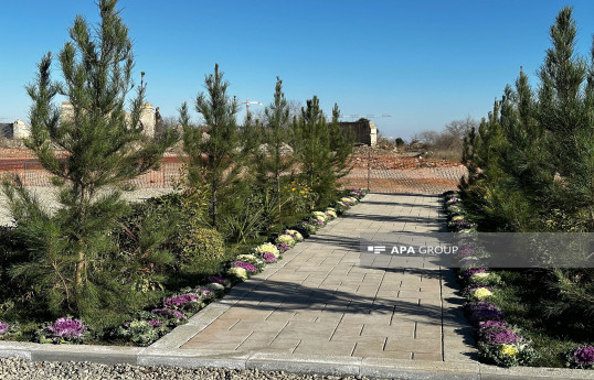 Ağdamda 5 hektarlıq mərkəzi park salınacaq