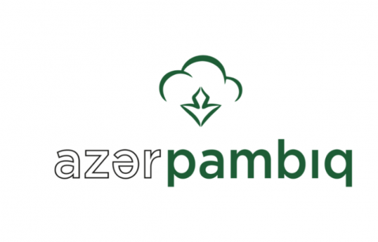 Bu il “Azərpambıq”ın ixrac gəlirləri 31 milyon dollardan çox azalıb