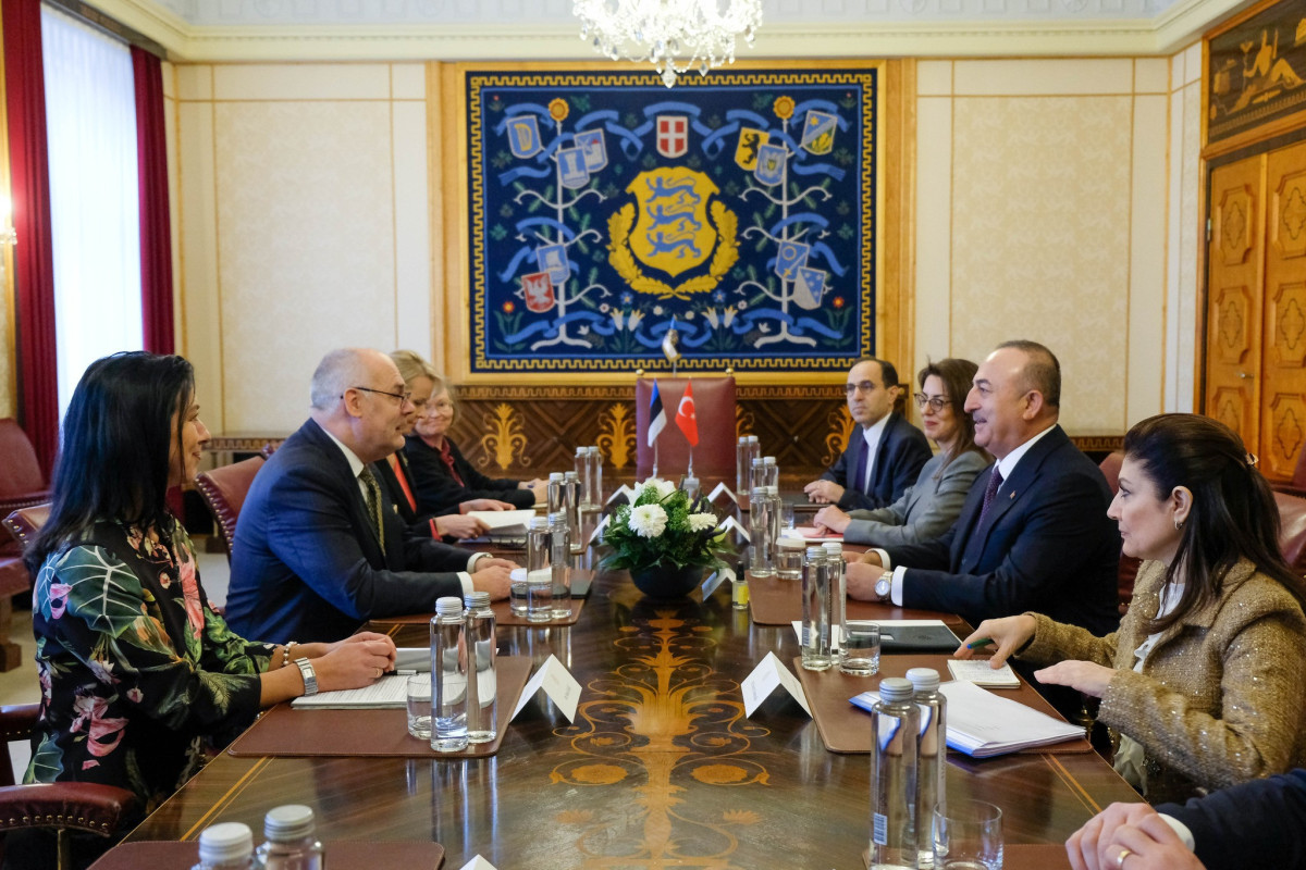 Президент Эстонии принял главу МИД Турции