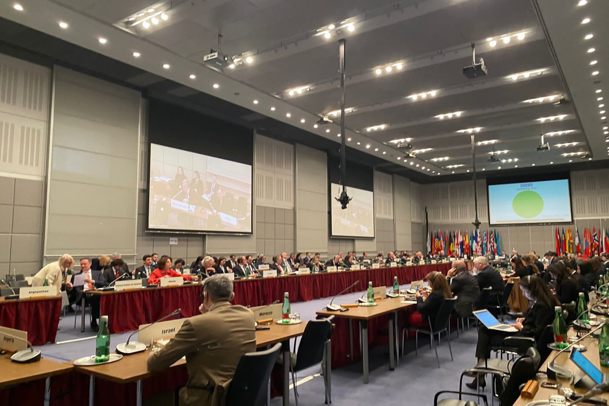Issue of armed attack on Azerbaijani embassy in Tehran raised at OSCE Permanent Council meeting