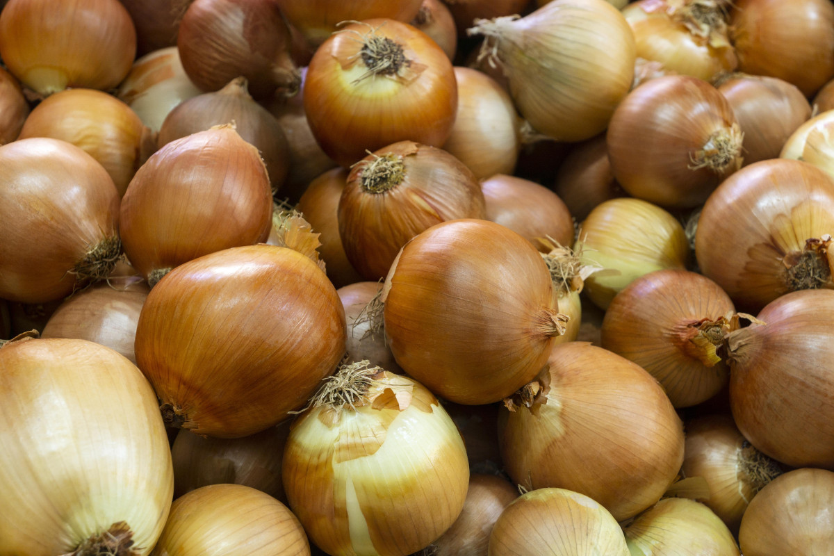 Onions imported to Azerbaijan is exempted from customs duty, their export from country to be regulated