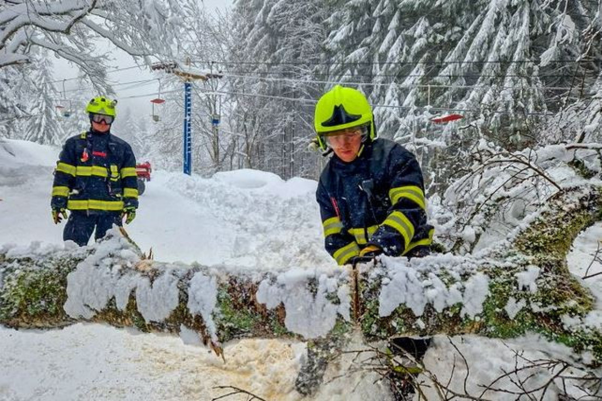 СМИ: В Чехии из-за шквального ветра и снегопада без света остались 100 тыс. домохозяйств