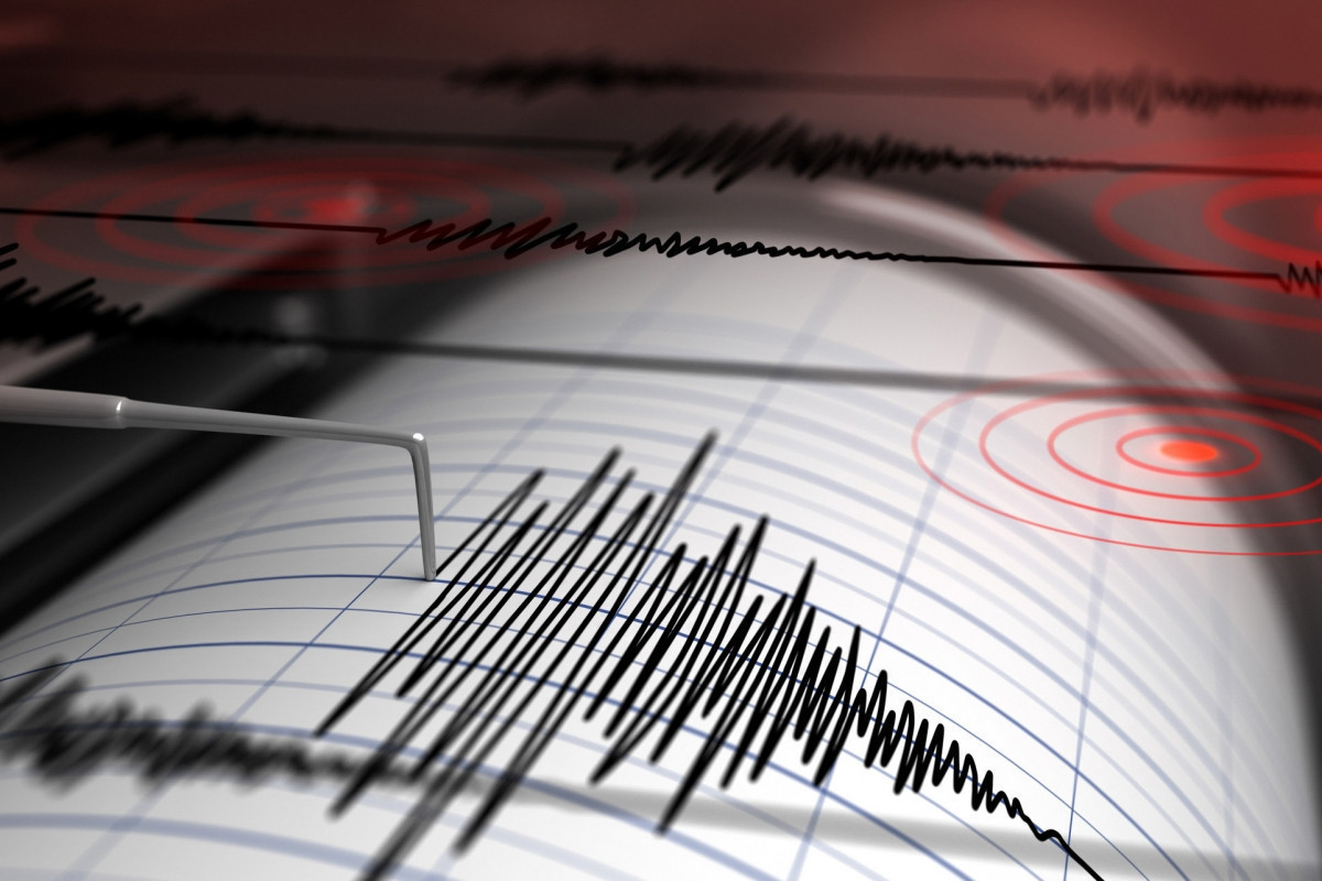 На границе Таджикистана и Пакистана произошло землетрясение магнитудой 4,8