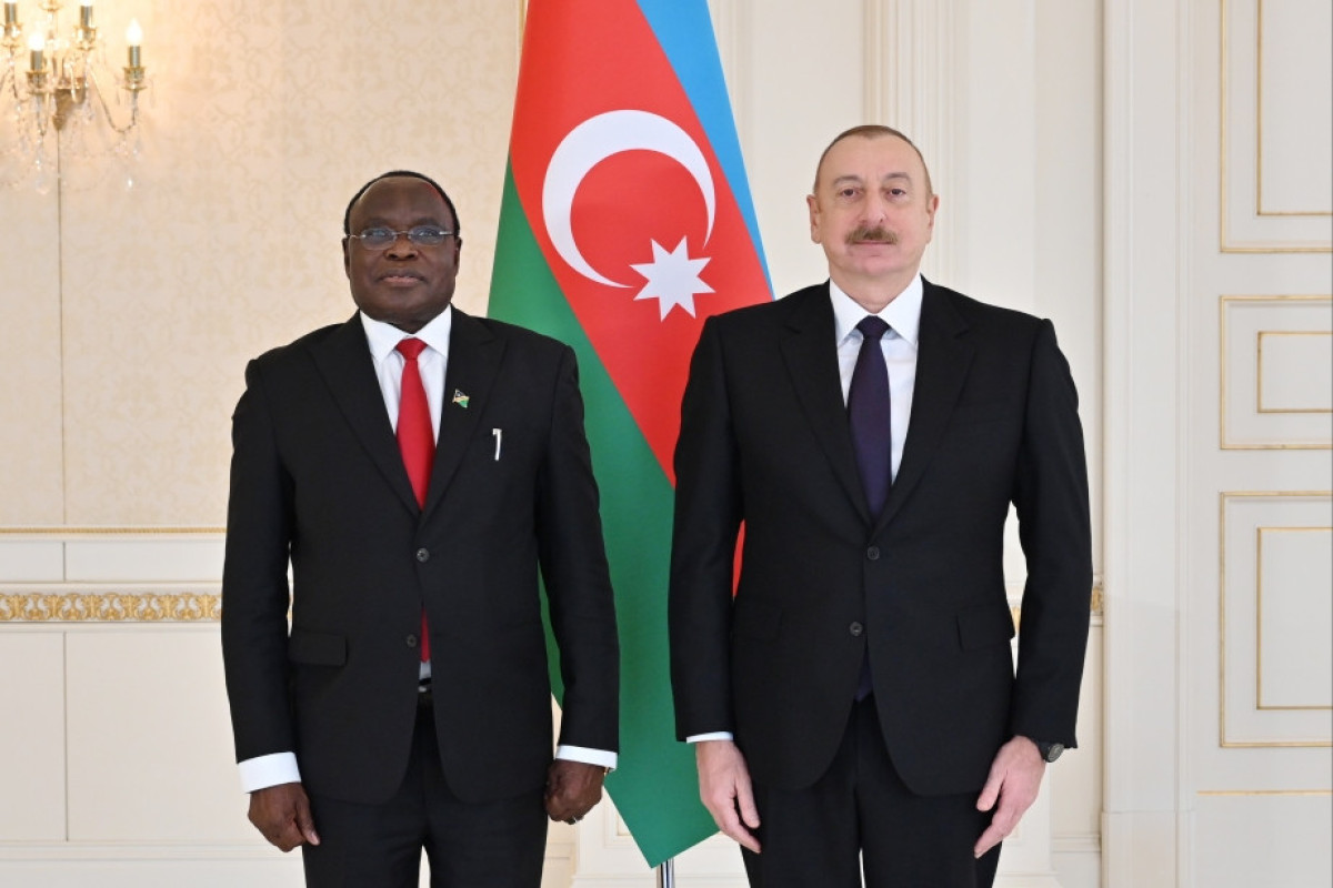 Prezident Namibiyanın yeni səfirinin etimadnaməsini qəbul edib - YENİLƏNİB 