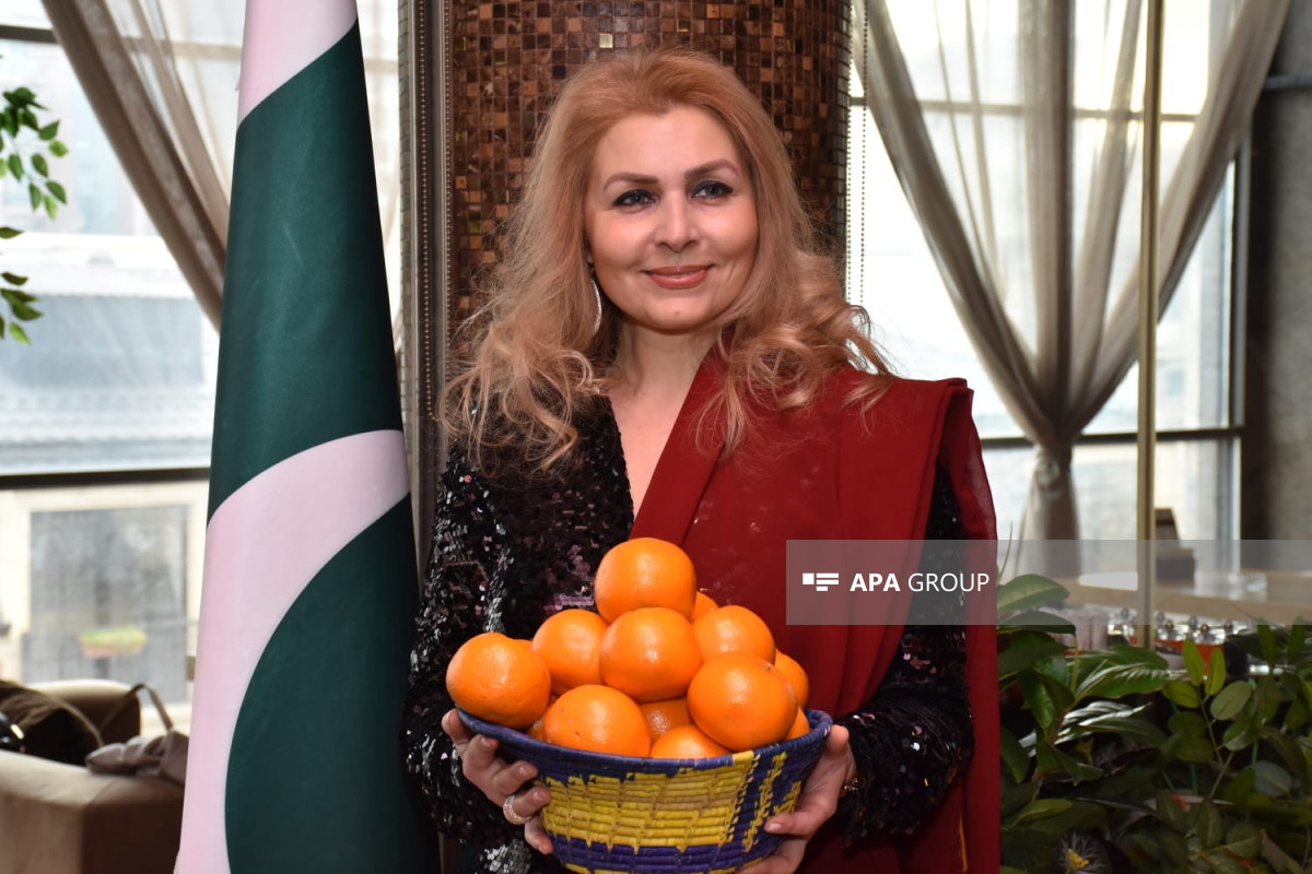 Bakıda Pakistanın sitrus meyvələri festivalı keçirilib - FOTO 