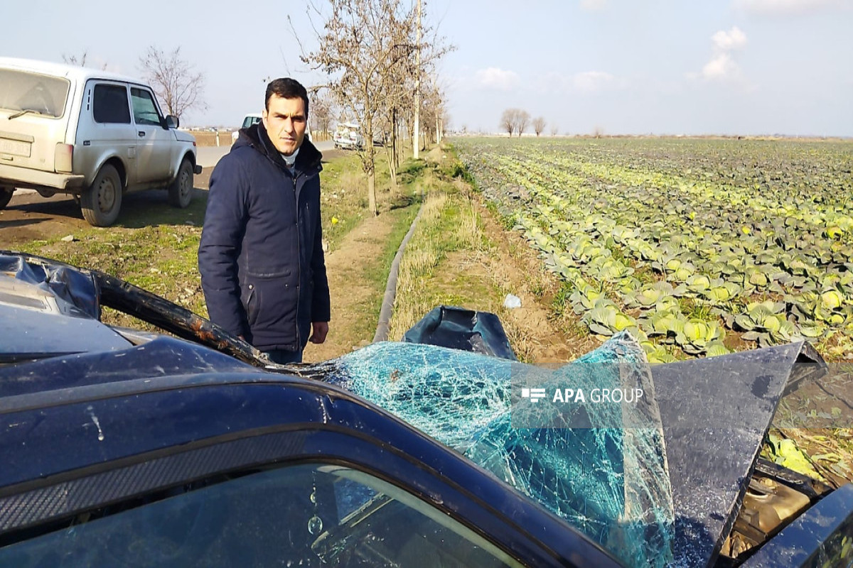 Bərdədə avtomobil atı vurub - FOTO 