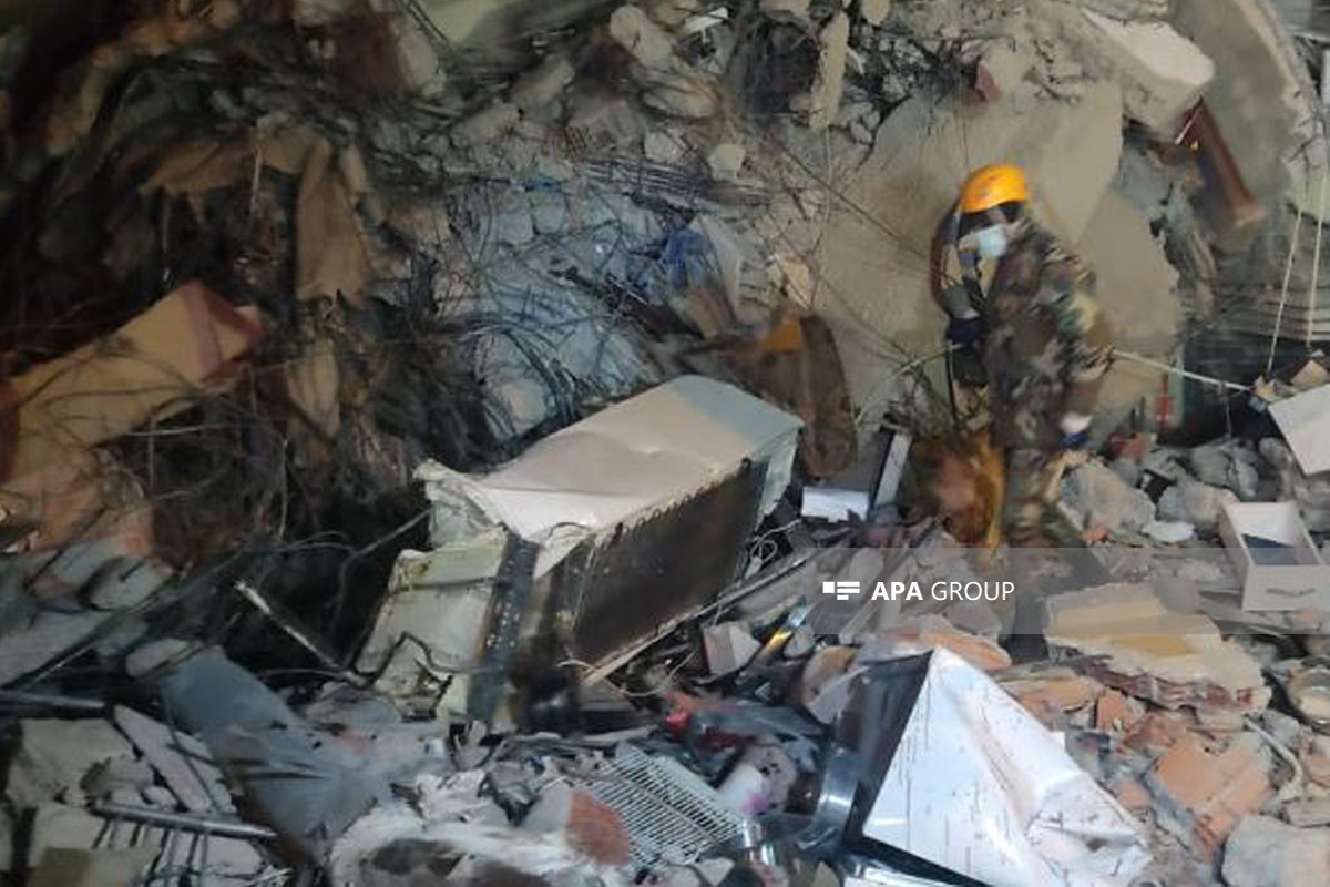 FHN Kahramanmaraşda axtarış işlərinə itləri də cəlb edib - FOTO 
