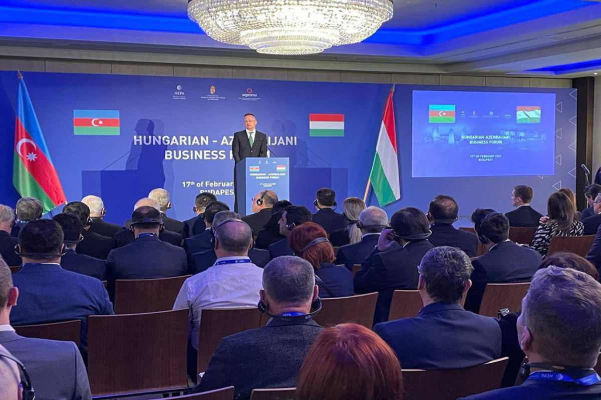 В Будапеште состоялся азербайджано-венгерский бизнес-форум