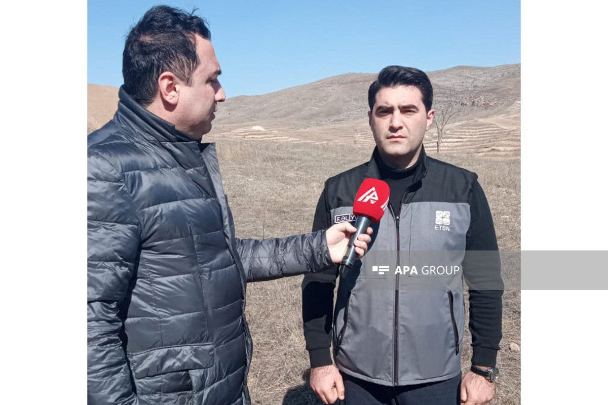 Xidmət rəisi: Bezuar keçilərinin, nəcib maralların azad olunmuş ərazilərə buraxılması nəzərdə tutulub