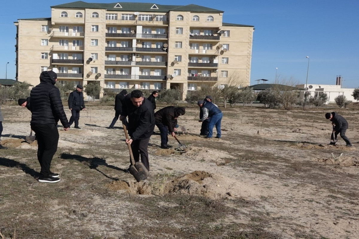 FHN-in Əsaslı Tikinti İdarəsi Heydər Əliyevin 100 illiyi ilə bağlı ağacəkmə aksiyası keçirib