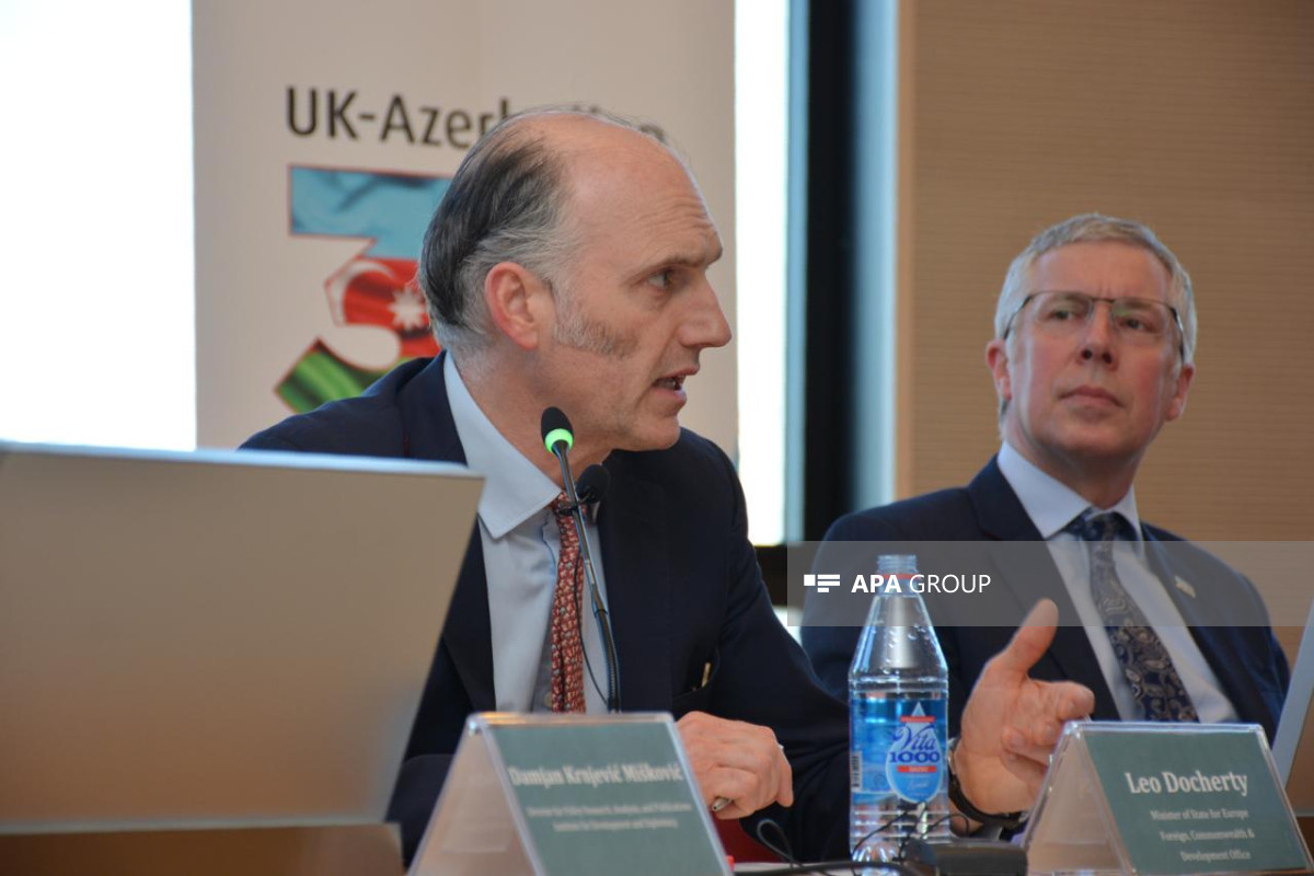 Nazir: Britaniya Ukraynaya ordu göndərməyəcək