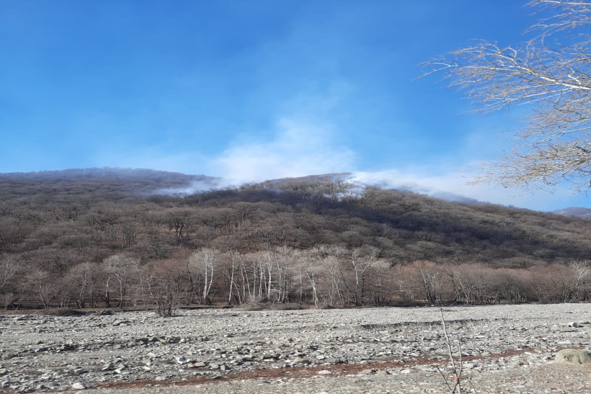 Пожар в национальном парке «Шахдаг»