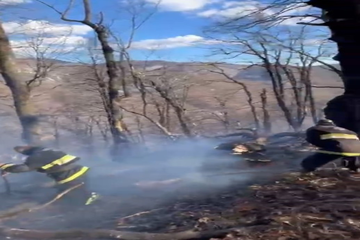Пожар в национальном парке «Шахдаг»