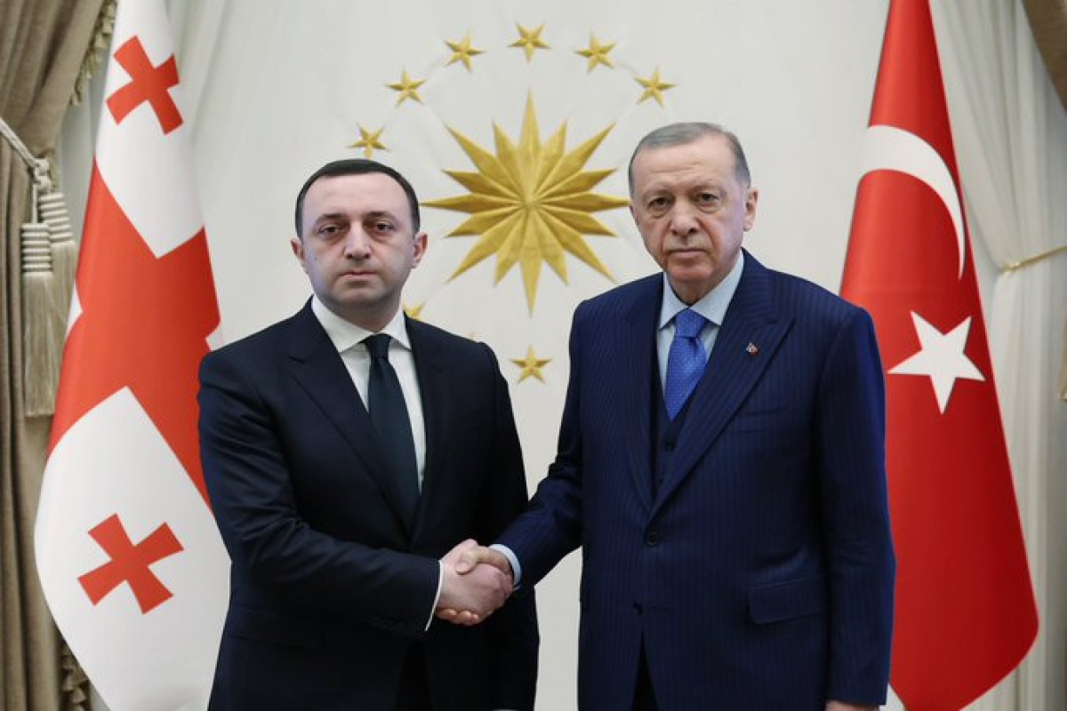 Irakli Garibashvili and Recep Tayyip Erdogan